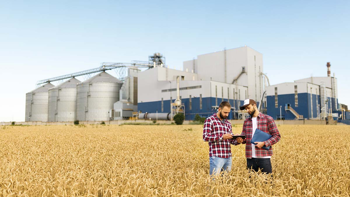 Two workers are having a discussion on a wheat field with an agriculture plant behind