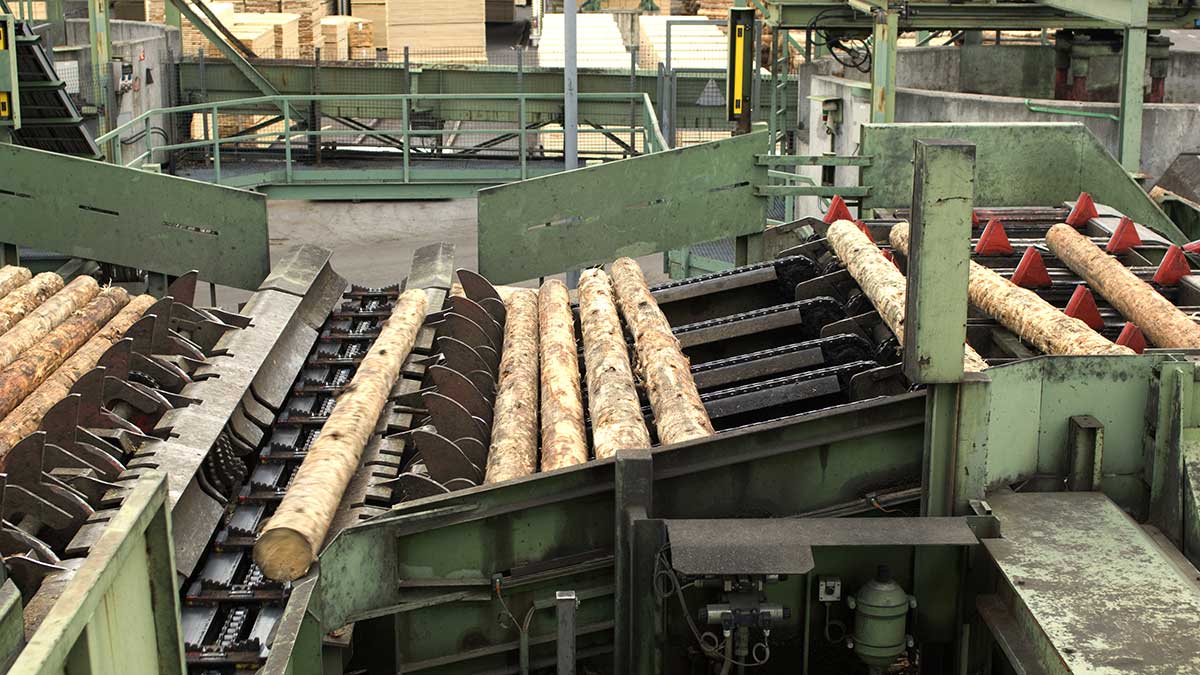 A conveyor belt moves logs in a lumber mill